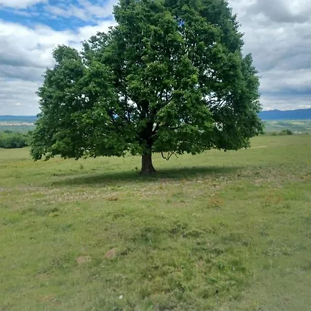 Plaiul Cucului * Tarcaia